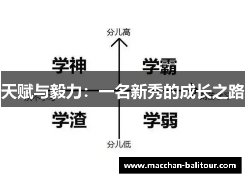 天赋与毅力：一名新秀的成长之路